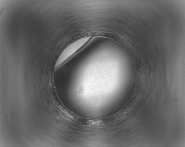 X0000060270185200510281241