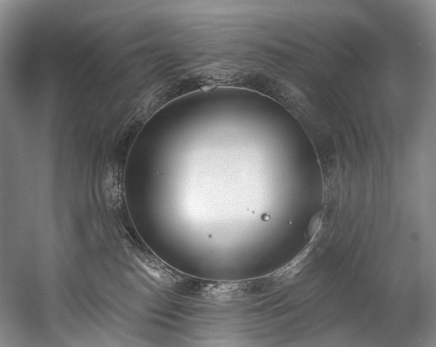 X0000060270186200510281241