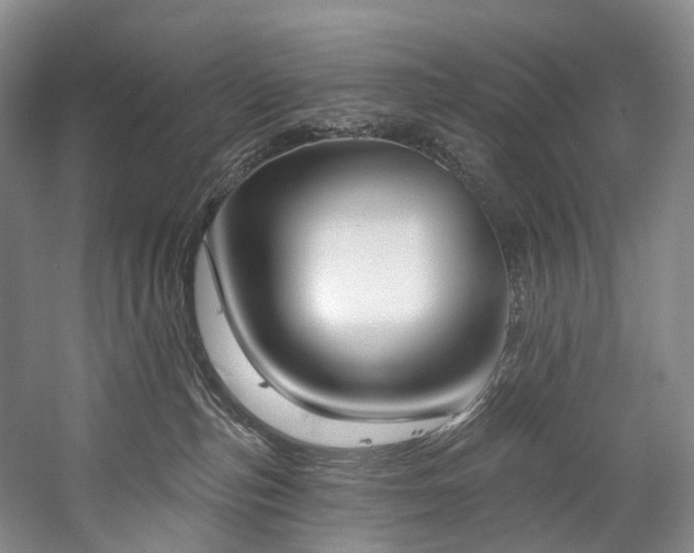 X0000060270187200510281241