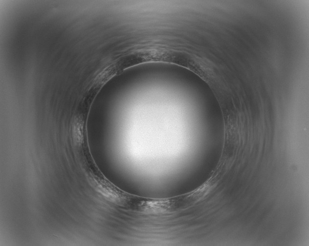 X0000060270188200510281241