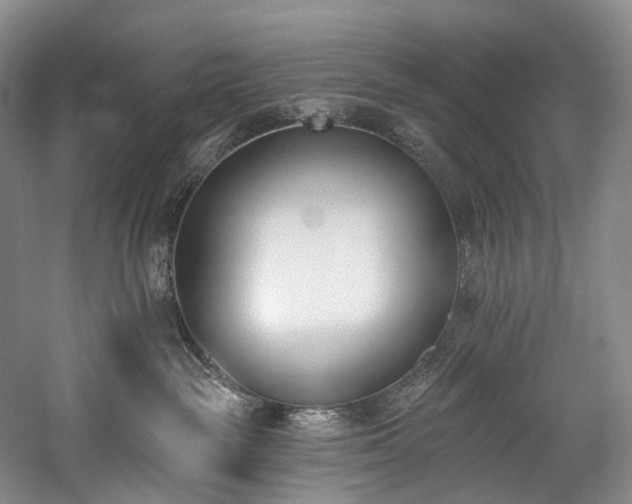 X0000060270189200510281241