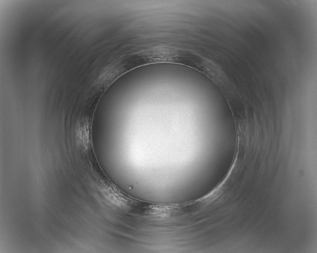X0000060270190200510281241