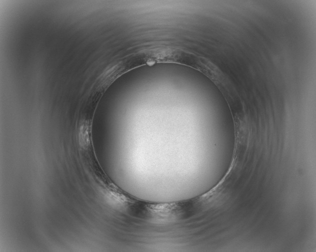 X0000060270191200510281241