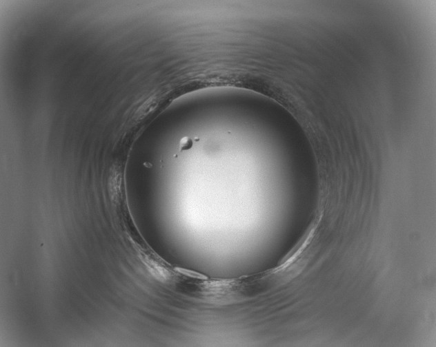 X0000060270192200510281241