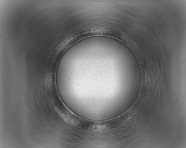 X0000060270208200510281240