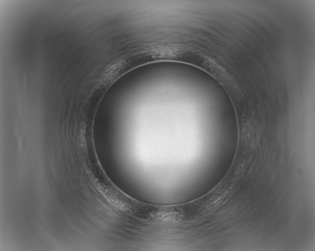 X0000060270209200510281240