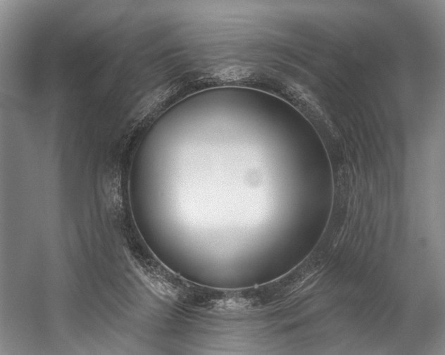 X0000060270212200510281240