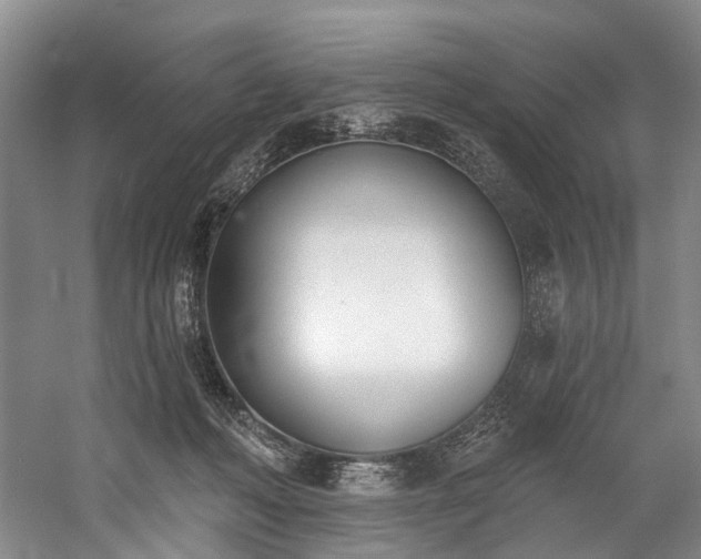 X0000060270222200510281240