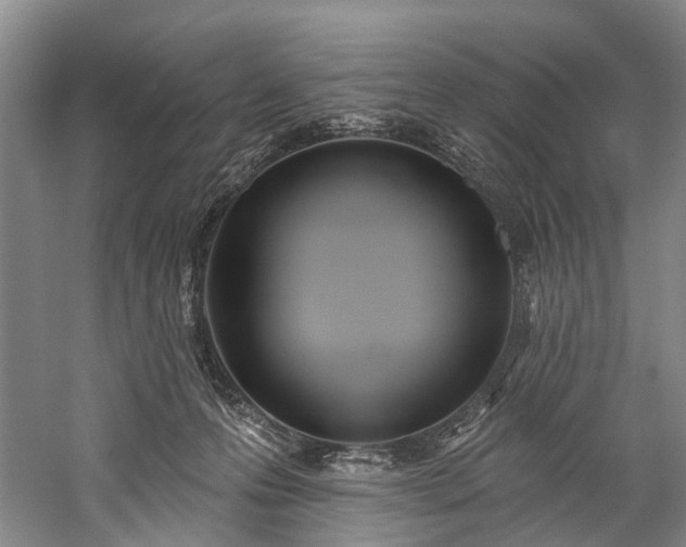 X0000060270223200510281240