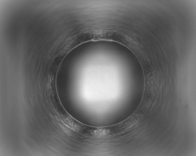 X0000060270225200510281240