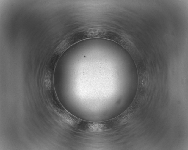 X0000060270226200510281240