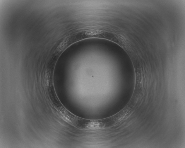 X0000060270227200510281240