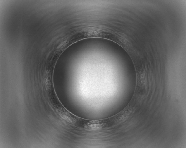 X0000060270228200510281240