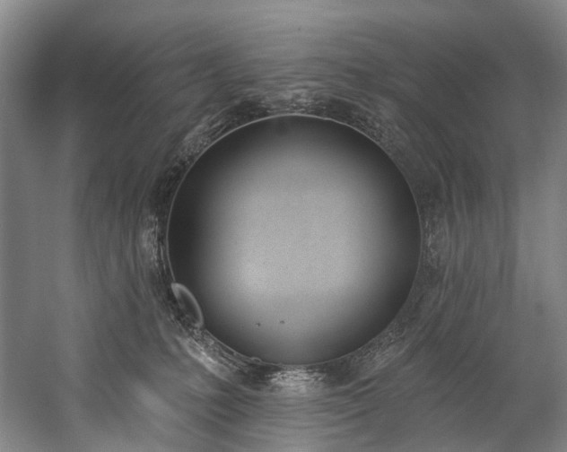 X0000060270231200510281240