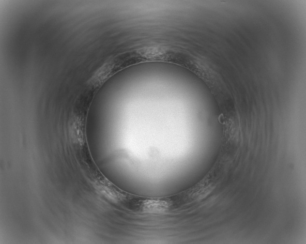X0000060270234200510281240