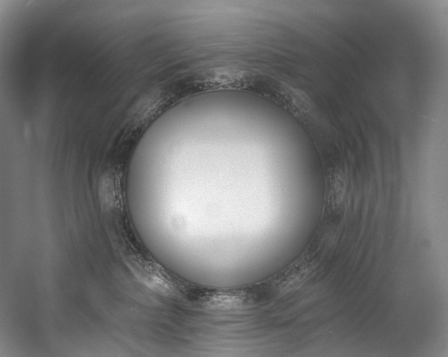 X0000060270236200510281240