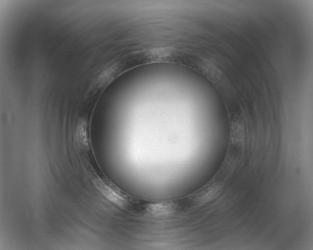 X0000060270238200510281240