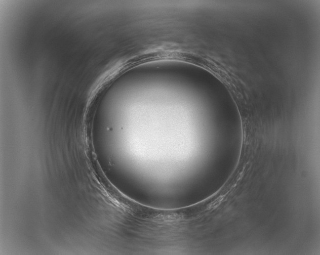 X0000060270245200510281239