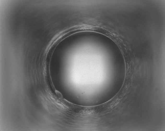 X0000060270247200510281239