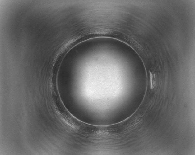 X0000060270252200510281239