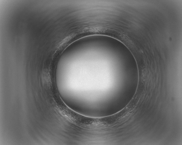 X0000060270256200510281239