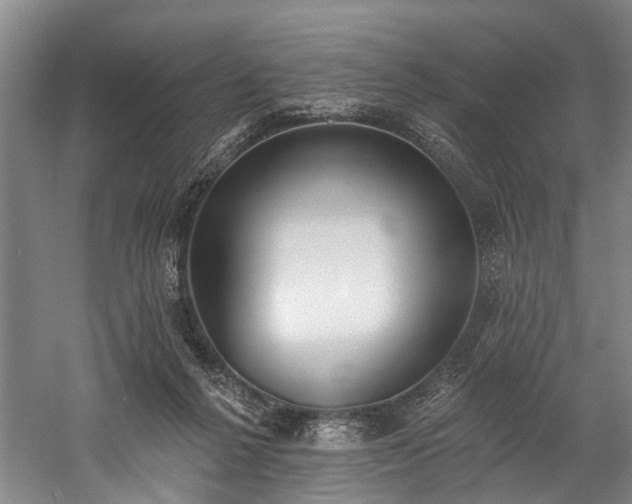 X0000060270264200510281239