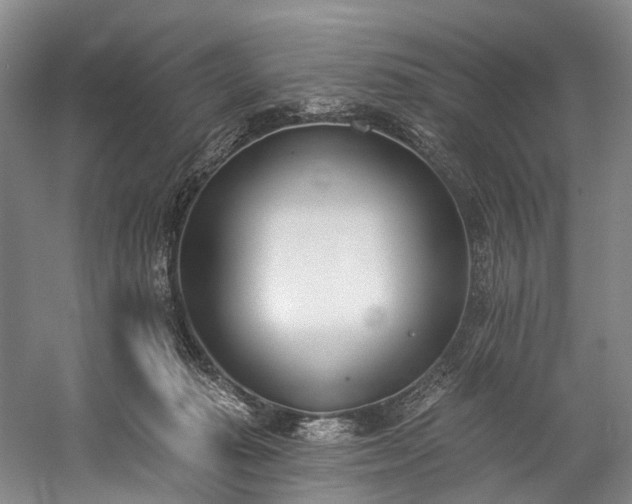 X0000060270269200510281239