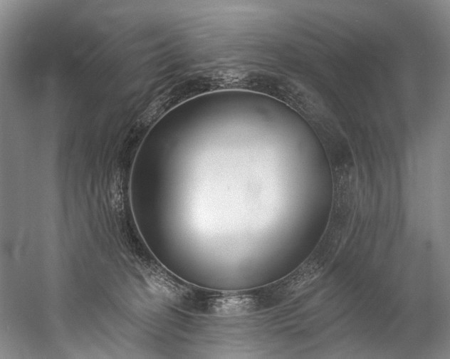 X0000060270274200510281240