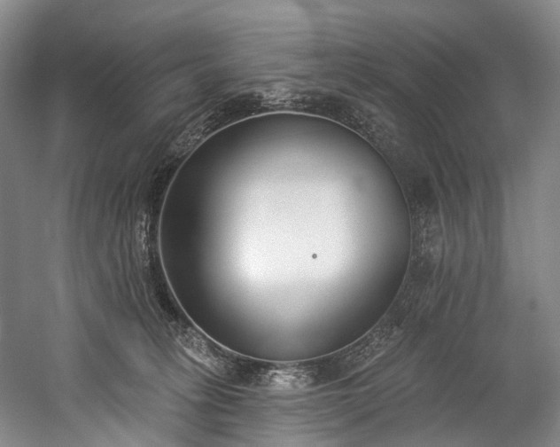 X0000060270275200510281240