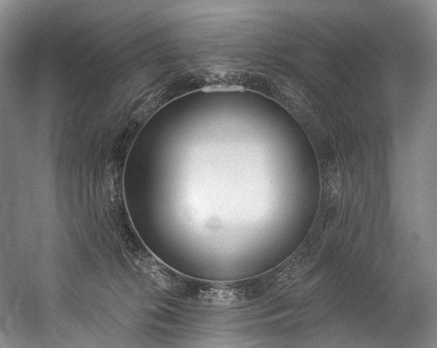 X0000060270276200510281240