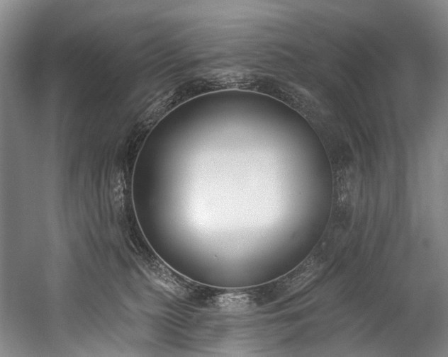 X0000060270279200510281240