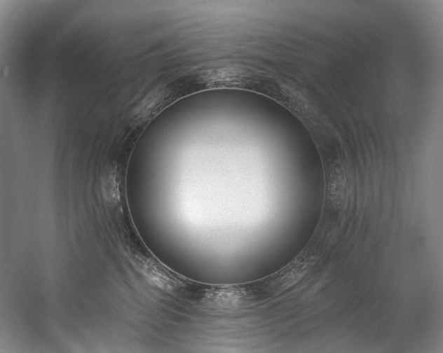 X0000060270282200510281240