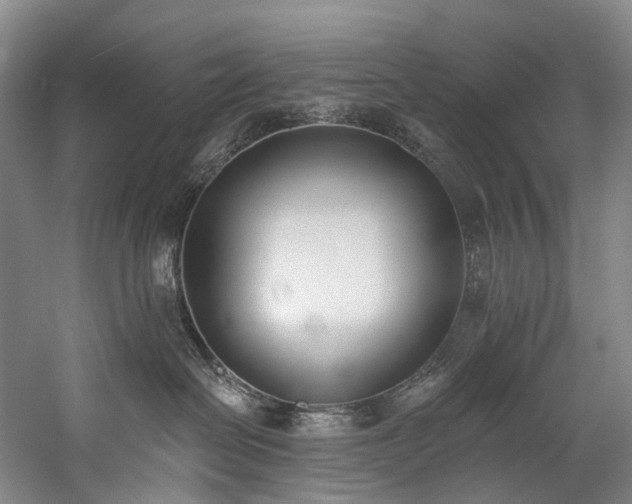 X0000060270286200510281240