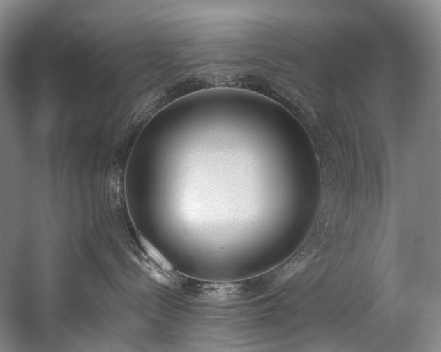 X0000060270288200510281240