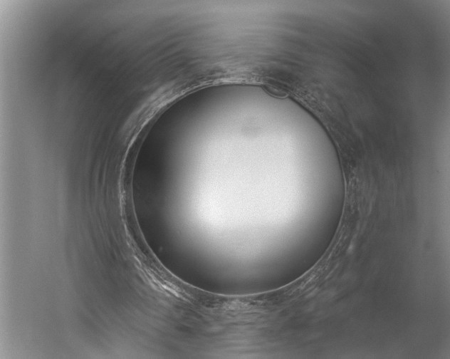 X0000060270290200510281239