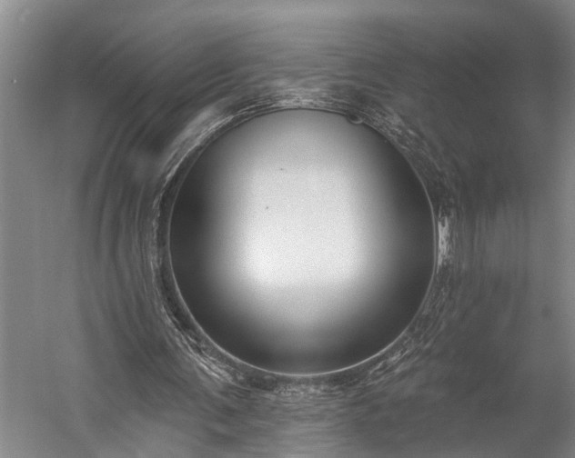 X0000060270291200510281239