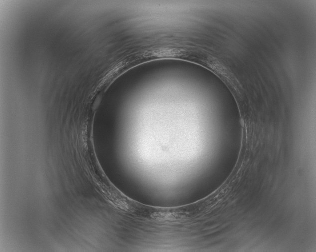 X0000060270297200510281239