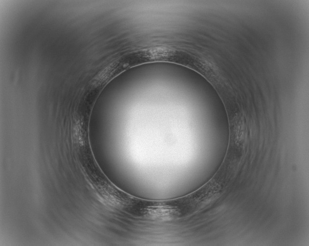 X0000060270316200510281238