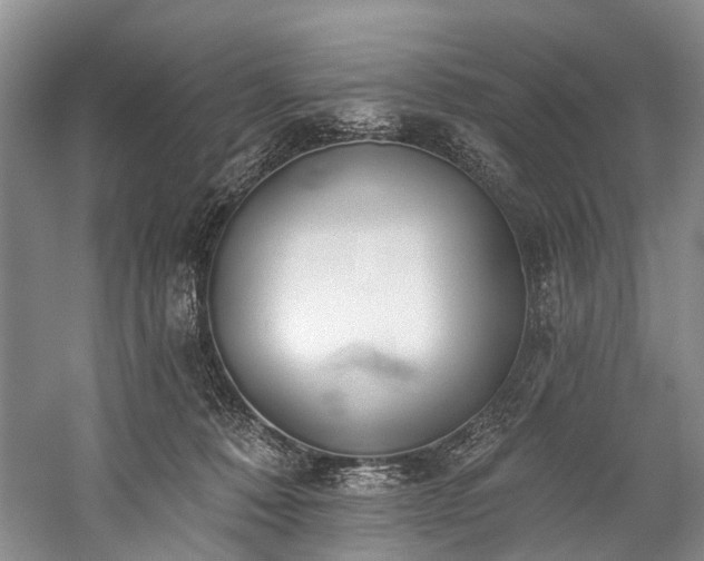 X0000060270320200510281238