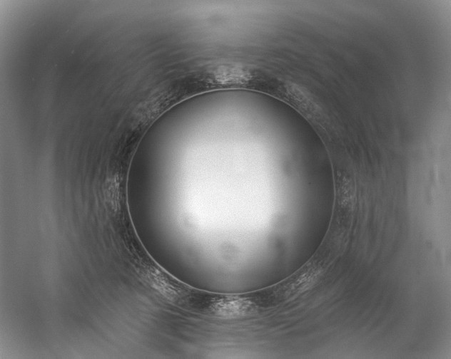 X0000060270321200510281238
