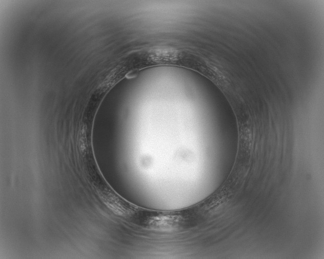 X0000060270323200510281238