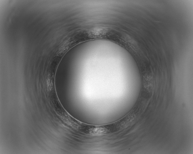 X0000060270324200510281238