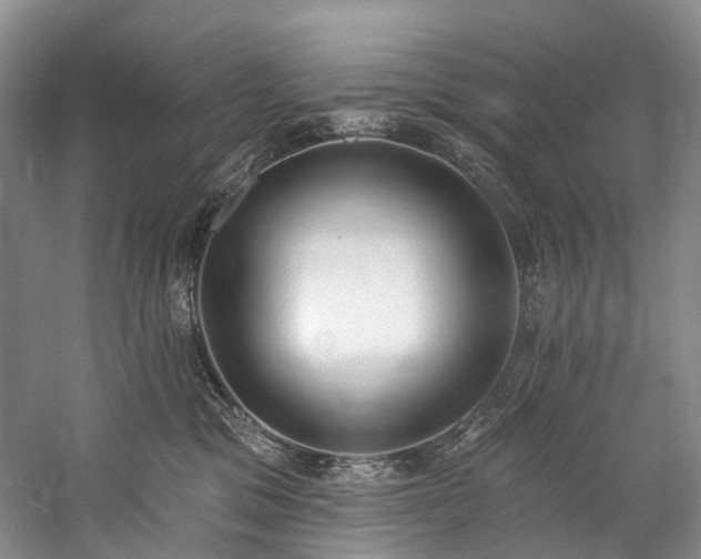 X0000060270329200510281238