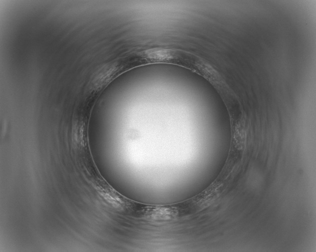 X0000060270330200510281238
