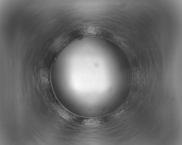 X0000060270331200510281238