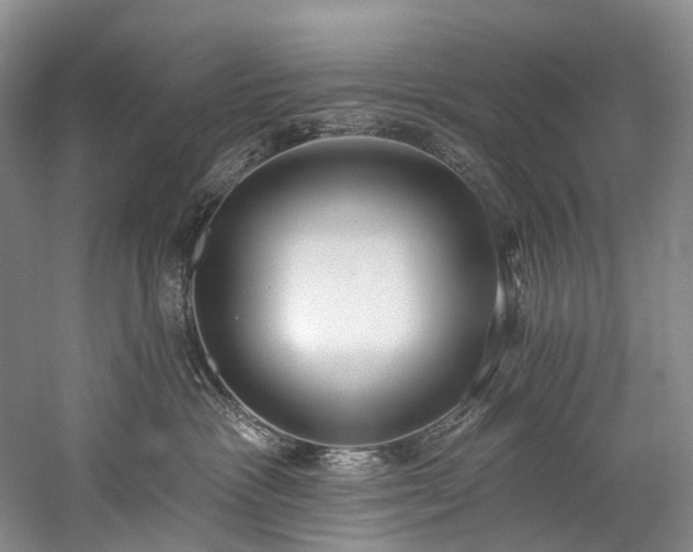 X0000060270333200510281238