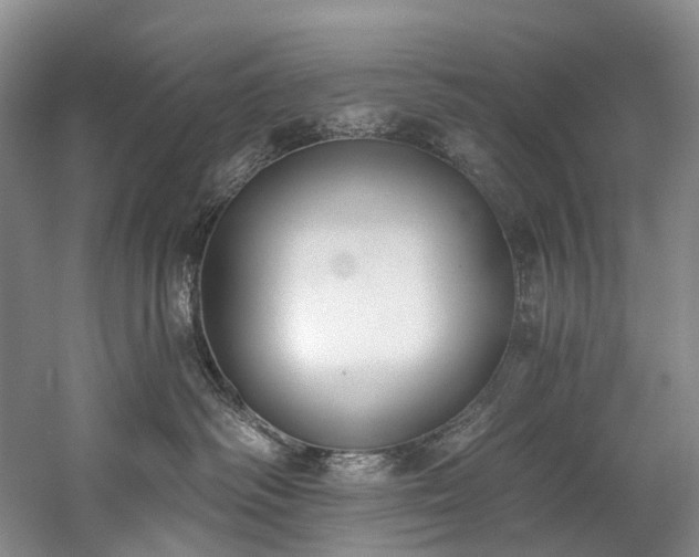 X0000060270334200510281238