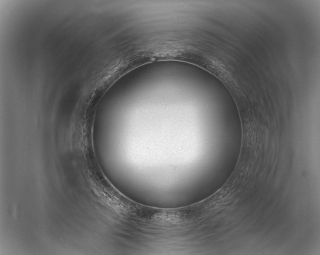 X0000060270354200510281237