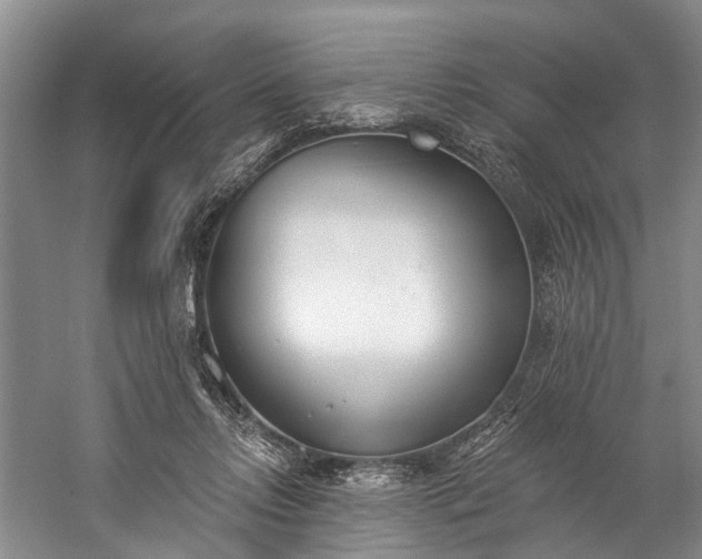 X0000060270358200510281238