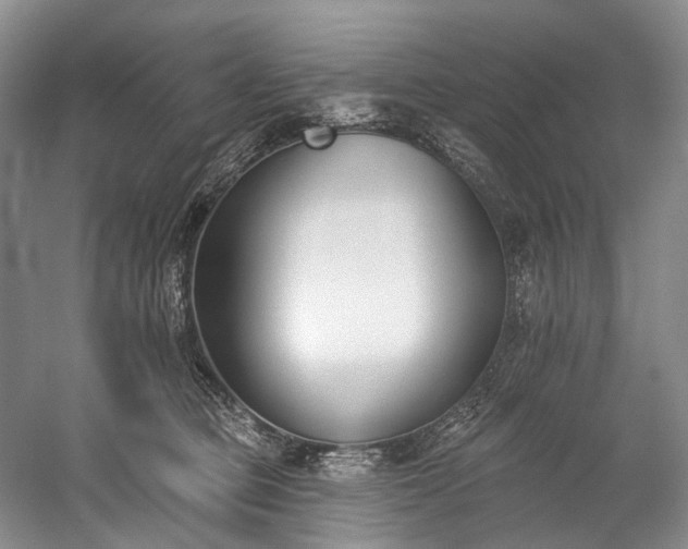 X0000060270373200510281238